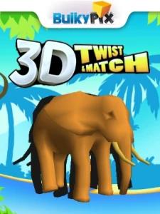 3D Twist and Match