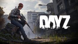DayZ Review