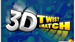 3D Twist and Match