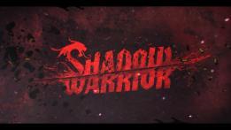 Shadow Warrior