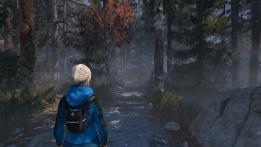 Through The Woods PC Review