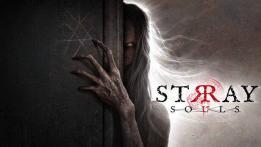 Stray Souls Review