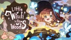Little Witch in the Woods Review